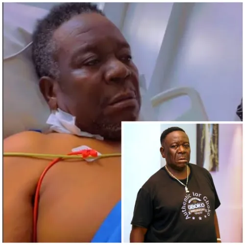 Mr Ibu Cause of Death