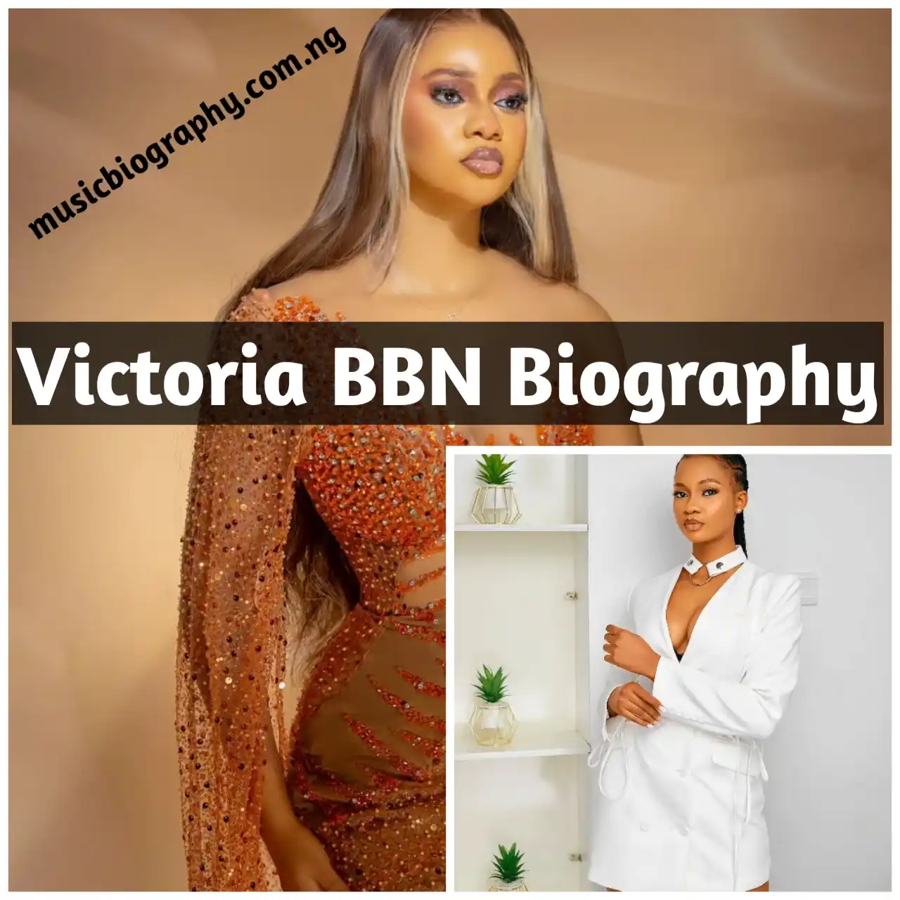 Victoria BBN Biography, Victor BNaija Biography, Victoria BBN Age, Victoria BBN Net Worth, Victoria BBN State of Origin, Victoria BBN Tribe, Victoria BBN Boyfriend