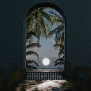 Calvin Fallo – Distorted